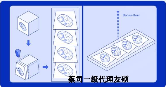 泰安蔡司泰安扫描电镜