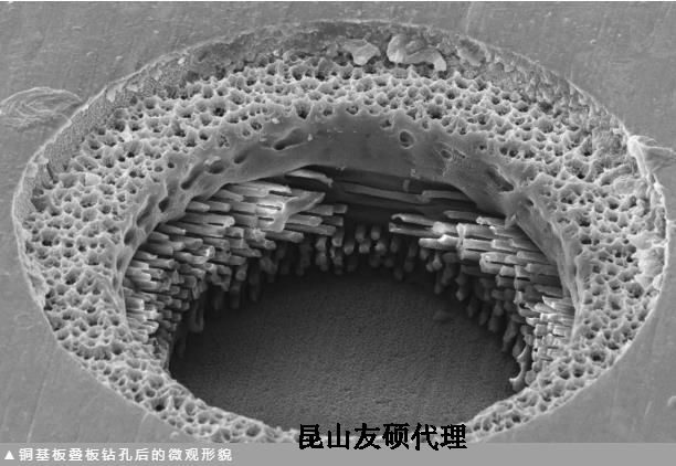 泰安蔡司泰安扫描电镜